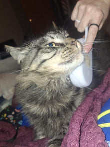 Before - ¡Este producto es absolutamente increíble!