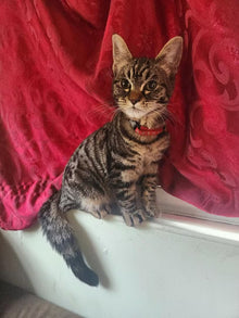 After - ¡Vaya! Todos deberían probar esto.